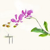 Секрет [Explicit]