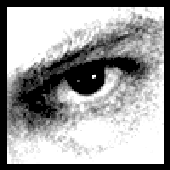 Avatar for VoxNihil