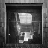 Songs for the Winter