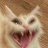 Zediak 的头像