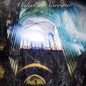 Veiled in Sorrow