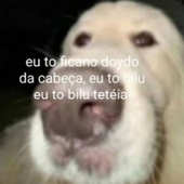 calveteee 的头像