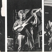Fiedler/Eitner/Schlott