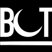BOTAyturk 的头像