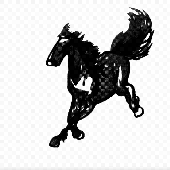 Avatar di archermoldbread