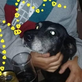 Avatar di Kaippert