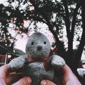 a2726782837_65.jpeg