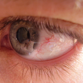 Avatar for Jookstevens