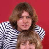 paley brothers