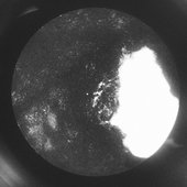Trucking to Tokyo (from Bandcamp)