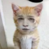 BlinkingObject1 的头像