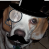Avatar for Worgenite