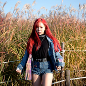  에이솔