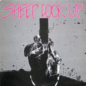 Sheep Look Up