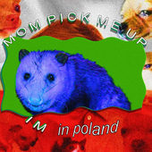 tviskinnungur 的头像