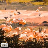 Crack Dreams [Explicit]