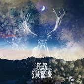 Black Stag Rising