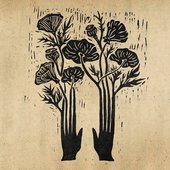 Flowers - Single