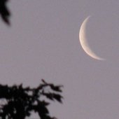 Whāia Te Māramatanga