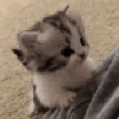 Avatar for sIowlndhed
