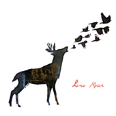 Low Roar (cover)