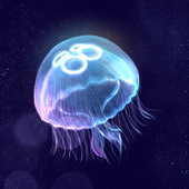 Avatar for plentyofjelly