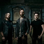 BFMV.jpg