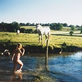White Stallion