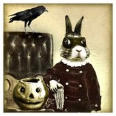 beau-bunny-bandito-by-the-decorated-house (1)