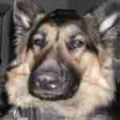 LastFM profile picture for @Saintly