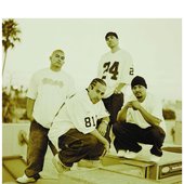 Original Spanish Fly 310