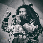 Bob Marley & the Wailers