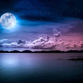 IMG_4567.jpeg