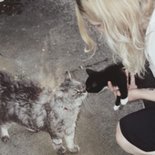 kitty