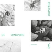 Relativiteit Van de Omgeving