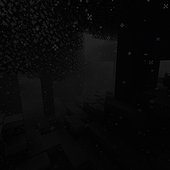 IMG_7781.jpeg
