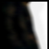 Avatar for fausz
