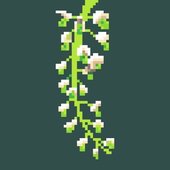 green wisteria