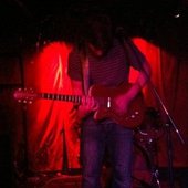The Danelectro