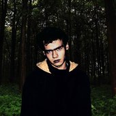Ivanchik_InDarkForest_MM