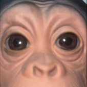 cxnraddd 的头像
