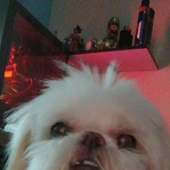 Avatar de Louisbla12