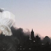 The Disintergration Loops