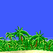 palm_trees