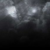 Avatar for _multifocus_