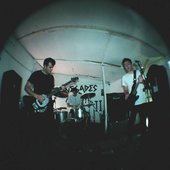 Bronzed live photo