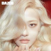 ROSÉ BY DAZED