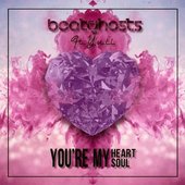 You're My Heart You' Re My Soul
