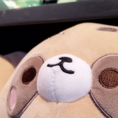 preprd 的头像