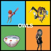 Owls_cover.jpg